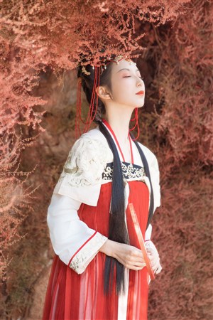 三年成全在线观看大全免费高清