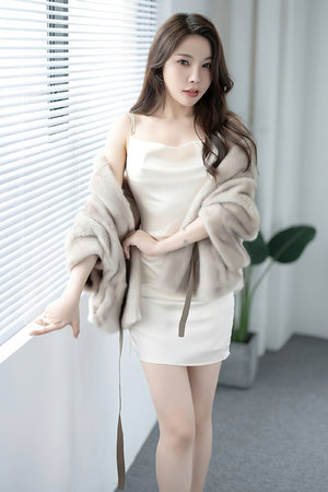 伦理情感电影HD