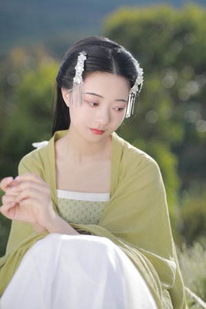 森林里的熊先生无删节完整版