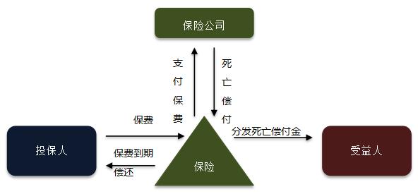 如何選擇人壽保險政策以滿(mǎn)足您的需求