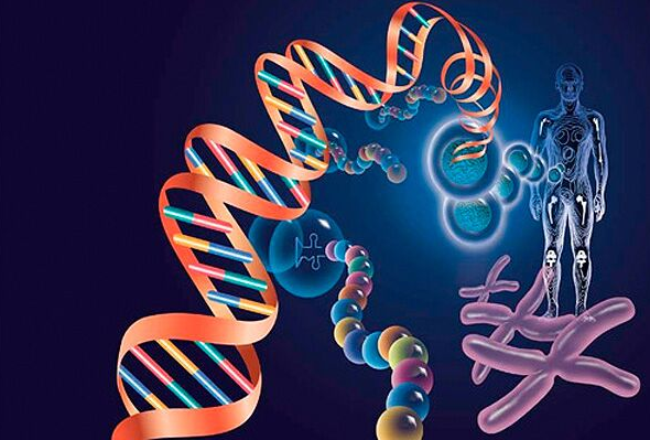 FibreCo Queensland與首批董事會(huì )成員正式成立