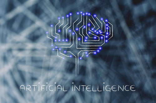 來(lái)自荷蘭研究的博士生如何進(jìn)化人造大腦以模仿動(dòng)物中的人