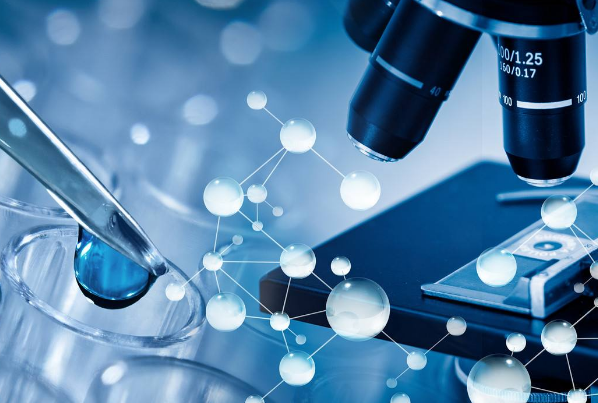 本地公司有機會(huì )支持學(xué)習者的努力和技術(shù)挑戰