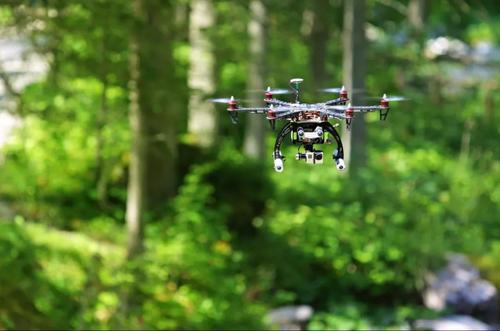 無(wú)人機巡檢森林不僅速度快效率高代價(jià)小
