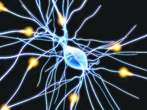 通過(guò)構建復雜神經(jīng)網(wǎng)絡(luò )的模式來(lái)解決問(wèn)題