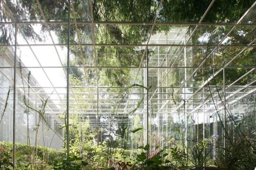 不支付實(shí)習生費用的建筑師不應該獲得有聲望的傭金設計師透露了Ishigami的實(shí)習機會(huì )