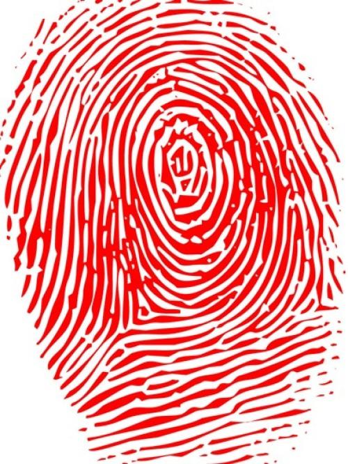 蘋(píng)果或恢復指紋下一代很可能全面屏代替劉海屏