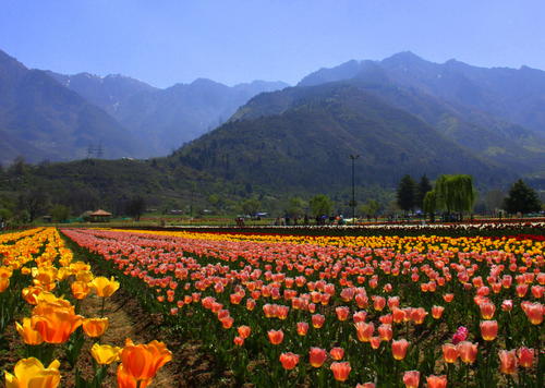 亞馬遜將于10月24日再次帶來(lái)Great Indian Festival Sale