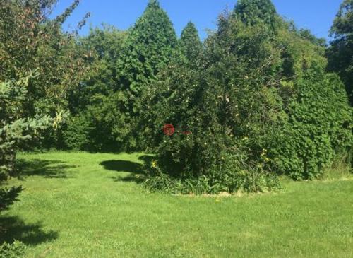 這棟兩層住宅的設計在很大程度上受到了該物業(yè)上成熟的橡樹(shù)的影響