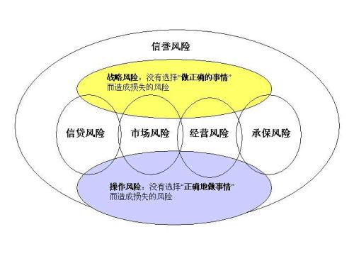 可以為其成員提供多邊清算和結算服務(wù)以及風(fēng)險管理服務(wù)