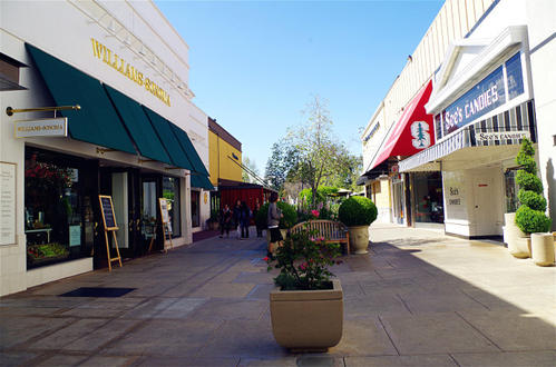 帕洛阿爾托斯坦福購物中心Apple Store的玻璃門(mén)前高聳入云的薄屋頂