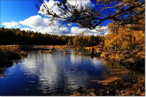 功能使用戶(hù)可以查看和比較過(guò)去七年來(lái)拍攝的圖像