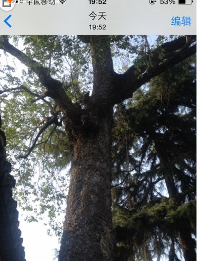 科普iPhone 6如何才能顯示更大縮略圖默認的很小及iPhone6手機怎么快速刷新App Store