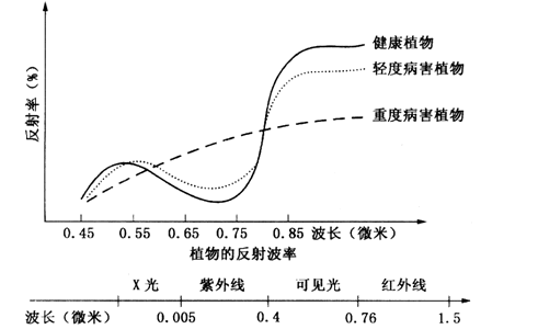 最新的攻擊利用了一種稱(chēng)為網(wǎng)絡(luò )時(shí)間協(xié)議反射的技術(shù)