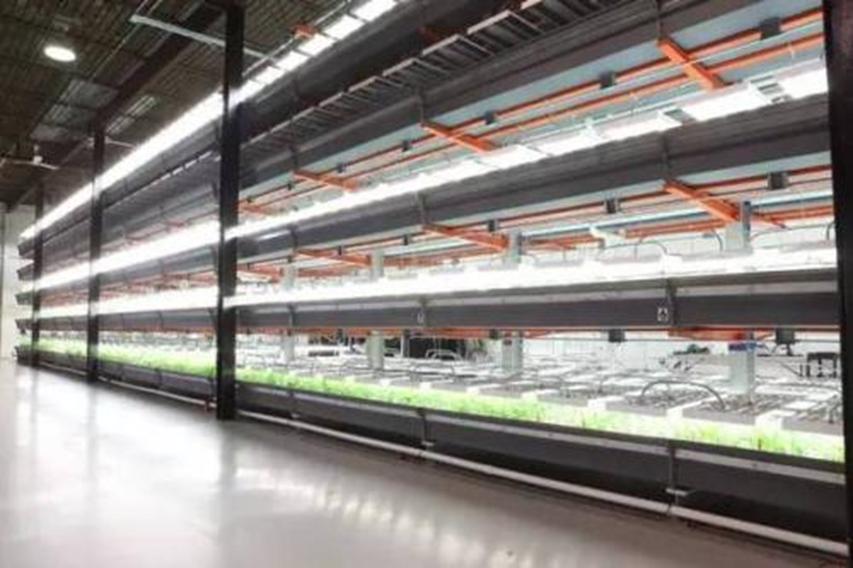 烏節街完成利茲倉庫租賃的63000平方英尺