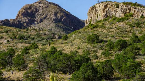 1850萬(wàn)美元的Boss Ranch加入西德克薩斯州房地產(chǎn)清單