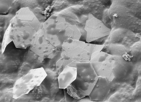 科學(xué)家創(chuàng  )造了18克拉的塑料金