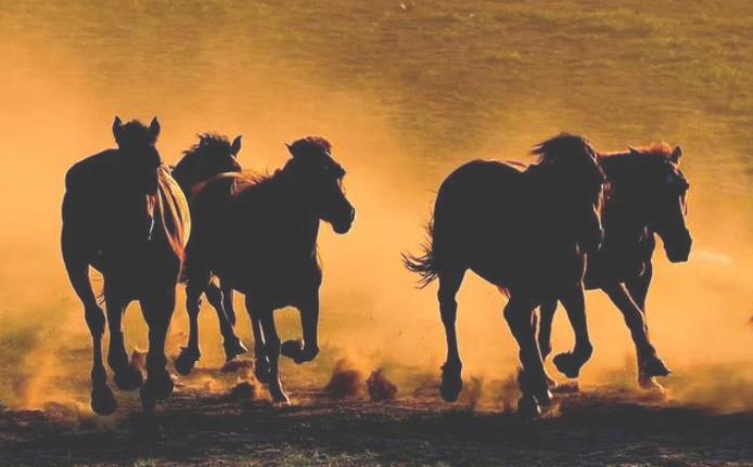 葉檀:房住不炒，股投不炒,從下半年開(kāi)始 不要急著(zhù)買(mǎi)房買(mǎi)股