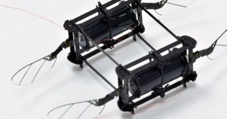 這種RoboBee由柔軟的人造肌肉提供動(dòng)力