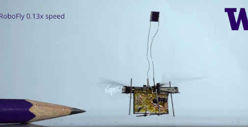 下一個(gè)飛行機器人可能會(huì )受到蒼蠅的啟發(fā)