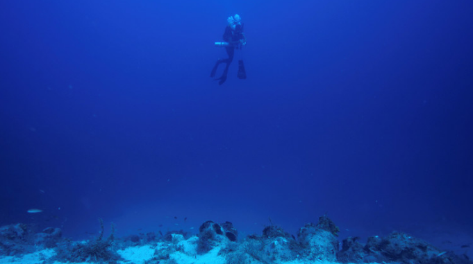 該機器人可以在未開(kāi)發(fā)的海域進(jìn)行研究