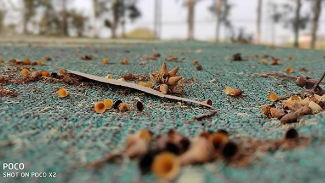 Poco X2相機評論：適用于Shutterbugs的最佳Sub-20K智能手機