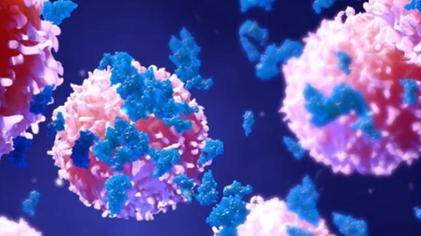 IBM開(kāi)源了三個(gè)致力于治愈癌癥的AI項目