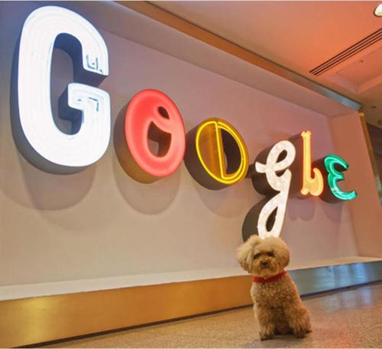 由FTC提出投訴的Google鎖定了歐盟歐盟監督機構對用戶(hù)進(jìn)行跟蹤