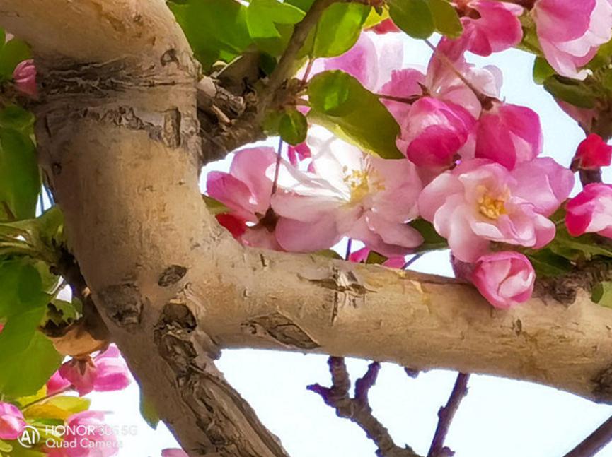 華為引領(lǐng)手機拍攝最前端 榮耀30S詮釋一切