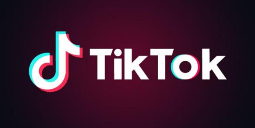 TikTok現在以新的家庭配對品牌正式走向全球