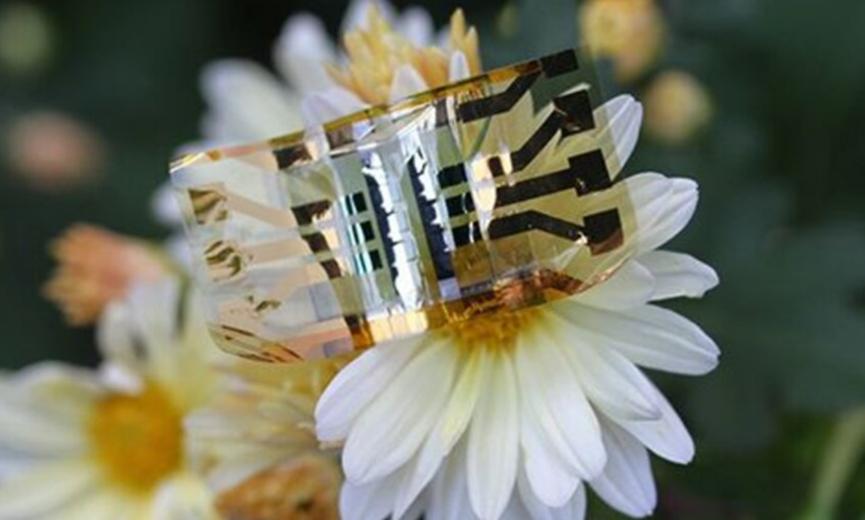 新的柔性太陽(yáng)能電池有助于為明天的可穿戴設備供電