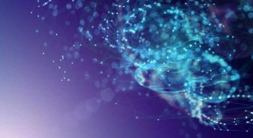 Paige.AI任命Leo Grady為首席執行官