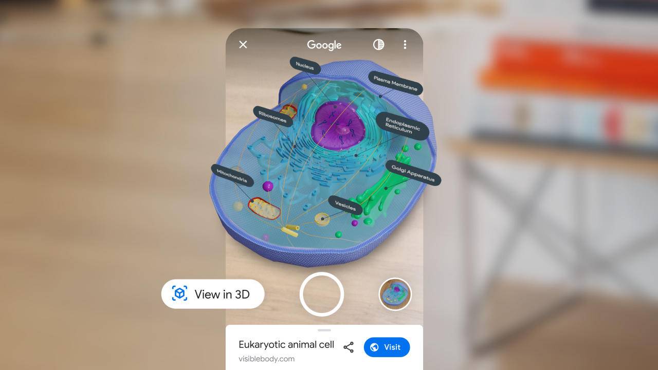 Google搜索新的AR內容可讓孩子們邊玩邊學(xué)