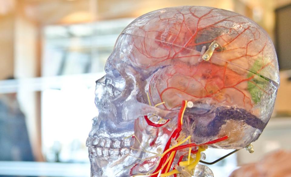 AI初創(chuàng  )公司將鼠標神經(jīng)元與硅芯片結合在一起，使計算機更智能，更快