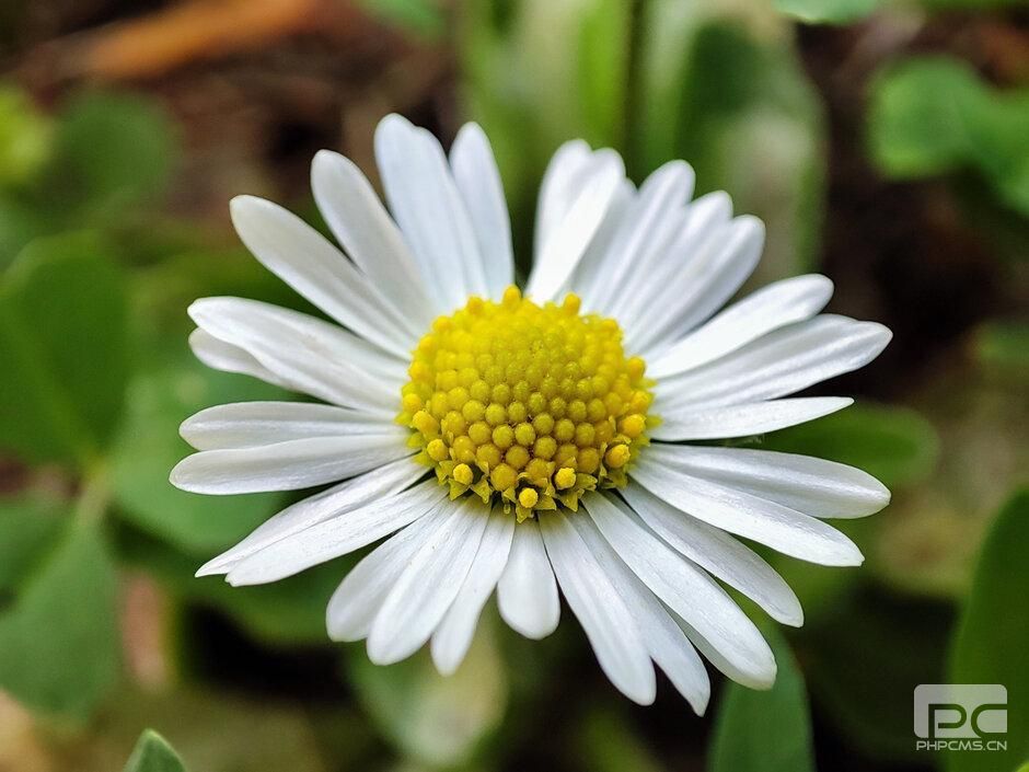 小米Poco F2 Pro評測:價(jià)格實(shí)惠,OLED顯示屏,支持5G的旗艦產(chǎn)品