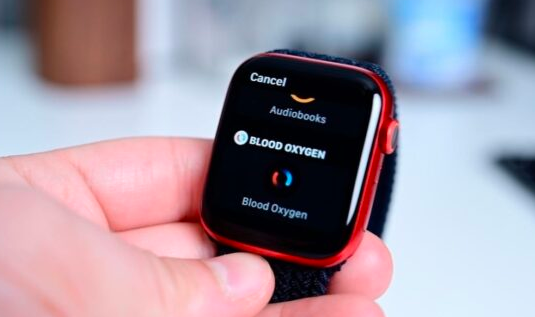 蘋(píng)果apple watch 6采用了大電池容量