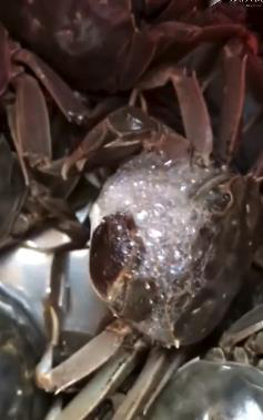 京東怎么購買(mǎi)生鮮 收貨時(shí)要注意哪些問(wèn)題