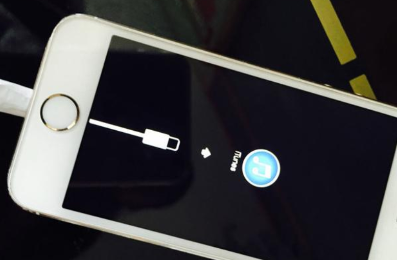 蘋(píng)果手機開(kāi)不了機怎么辦 告訴你蘋(píng)果手機開(kāi)不了機解決方法