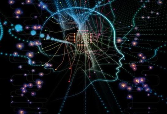 昆蟲(chóng)的神經(jīng)系統激發(fā)了未來(lái)高效的AI系統