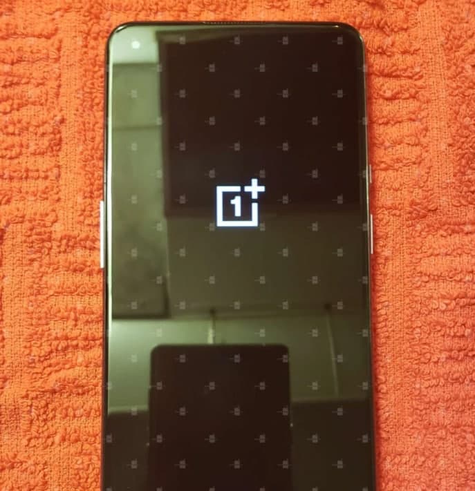 OnePlus 9新泄漏揭示了50MP三重攝像頭設置