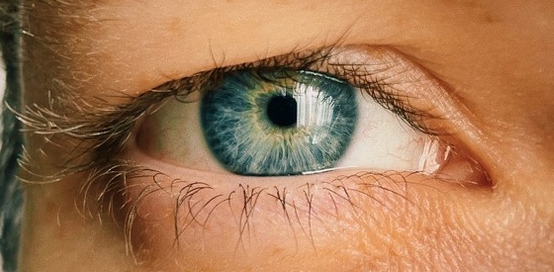 蘋(píng)果發(fā)布用iPhone 12鏡頭拍攝的圖像