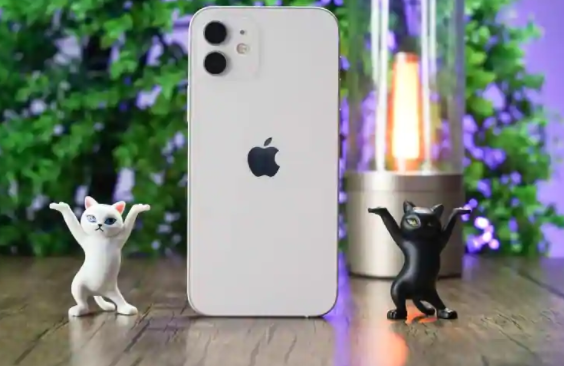 盡管iPhone 12 Mini銷(xiāo)量低迷，蘋(píng)果仍可能推出iPhone 13 Mini