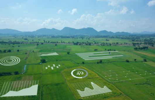 2021年AI有潛力改善農業(yè)的10種方式