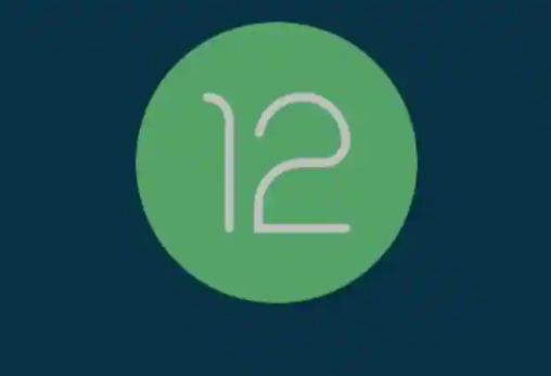 Google為Pixel設備發(fā)布了首個(gè)Android 12開(kāi)發(fā)人員預覽版