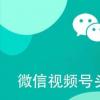 微信視頻號頭像為什么換不了