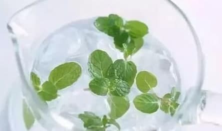 含薄荷成分的食品吃起來(lái)涼涼的，主要因為薄荷成分