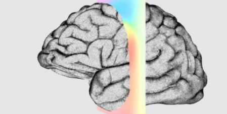 Neuralink：馬斯克希望最早在2021年開(kāi)始對人體進(jìn)行測試