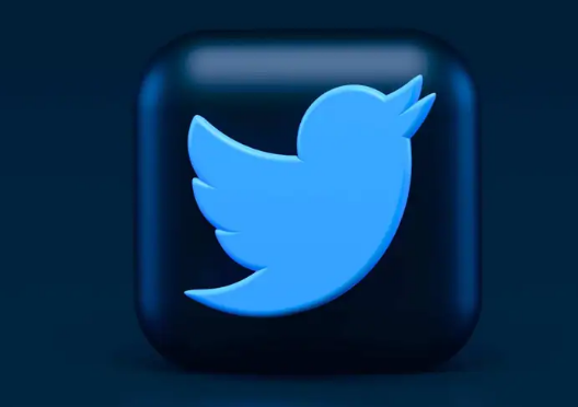 在Google Play商店中發(fā)現了Twitter Blue訂閱服務(wù)