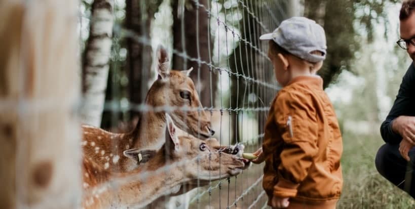 ps內容識別填充（ps內容識別填充用不了怎么辦）