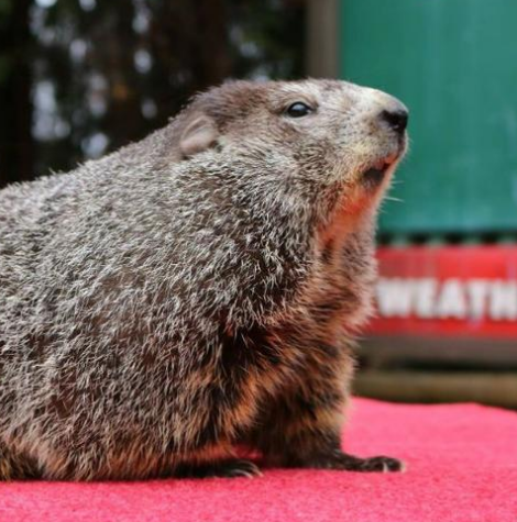 曝榮耀Magic9系列在規劃8K、9K級電池 引領(lǐng)電池優(yōu)勢